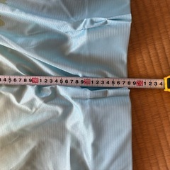 ディズニーカーテン
の画像