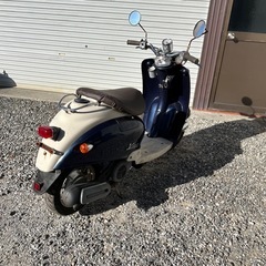YAMAHA ビーノ
の画像