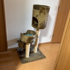 猫タワーの画像