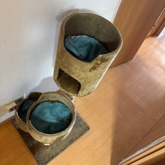 猫タワーの画像