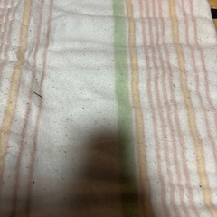 敷き電気毛布の画像