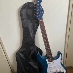 エレキギターカバー付きの画像