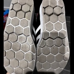 スーパースター19センチの画像