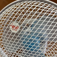ミニ扇風機　卓上扇風機の画像