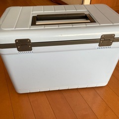 ★受渡待ち★11月末処分！中古品クーラーboxの画像