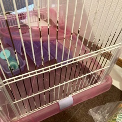   【即使用可】ハムスター3階建てケージ一式セット！餌・トイレ砂・回し車・外出ケージ付きの画像