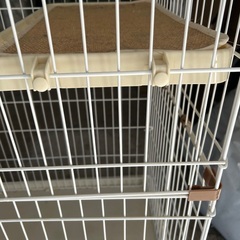 猫用二段ゲージ 大型の画像