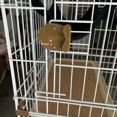 猫用二段ゲージ 大型の画像