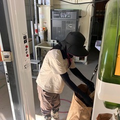 令和7年産 新米  岐阜ハツシモの画像