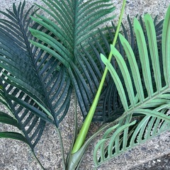 大きなフェイクグリーンの画像