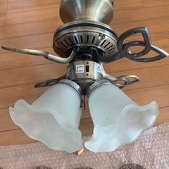 シーリングファンの画像