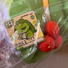 新品　ぬいぐるみ　旅かえるの画像