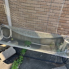 野球ネット　　トスマシン　の画像