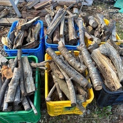 薪　焚き火用　バケット満載の画像