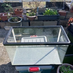 水槽６０センチ
の画像