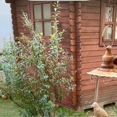 倉庫内の物　差し上げますの画像