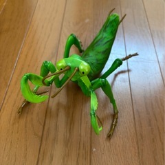 決まりました　BIGサイズ　カマキリ、アリのフィギュアの画像