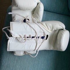 winningポクシンググローブの画像