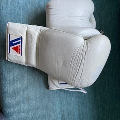 winningポクシンググローブの画像