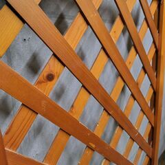 ラティスとポールの画像