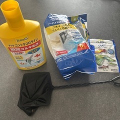 アクアリウム　一式　グリーンネオンテトラの画像