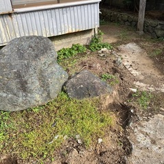 庭石お譲りしますの画像