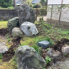 庭石お譲りしますの画像