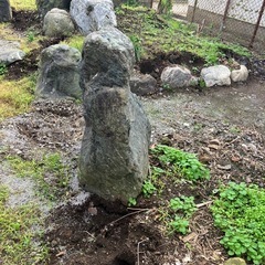 庭石お譲りしますの画像