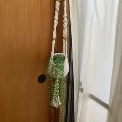 IKEA フェイク観葉植物の画像