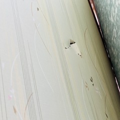 襖無料ですの画像