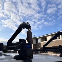 キャリアーの画像