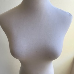女性　トルソーの画像