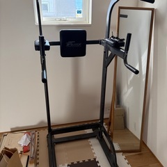 ぶら下がり健康器（懸垂、チンニングスタンド）の画像