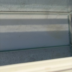 GEX 60cmスリム水槽の画像