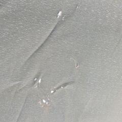 サンシェード パラソル（パラソルベース付き）の画像