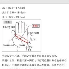 吸湿発熱　子供　スキー　手袋　ミズノ　の画像