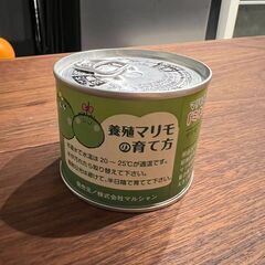 養殖まりもの缶詰｜育成｜知育玩具の画像