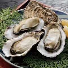牡蠣🦪好きな人…食べに行こうよ（女性1名様ご招待）