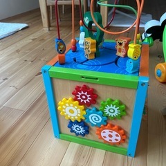 5ウェイアクティビティキューブの画像