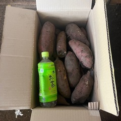 10kg限定🍠サツマイモ🍠さつまいも🍠の画像