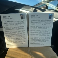 ラブブ　LABUBU Big into Energy 2ピース ポップマート ラブブ　新品未開封の画像