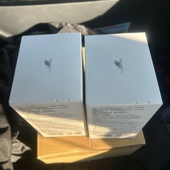 ラブブ　LABUBU Big into Energy 2ピース ポップマート ラブブ　新品未開封の画像