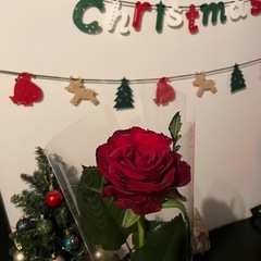 クリスマス　飾りつけの画像