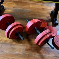 筋トレ　　ダンベル　ベンチ
の画像
