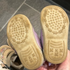 13、14、15cmまとめて　11/17までの画像