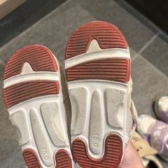 13、14、15cmまとめて　11/17までの画像