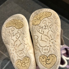 13、14、15cmまとめて　11/17までの画像