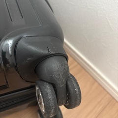 デルセー　スーツケース　機内持ち込み可の画像