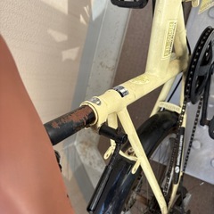 レイチェル(Raychell) 折りたたみ自転車 20インチ　FB-206R アイボリーの画像