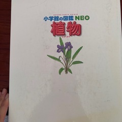 小学館の図鑑NEO 植物の画像